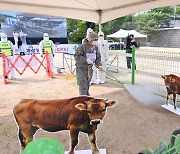 경기도, 럼피스킨 가축전염병 발생대비 가상방역훈련