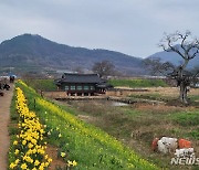 "경쟁력 있는 생활권 조성"…강진 등 10곳에 총 30억 지원