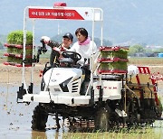 모내기하는 송미령 농식품부 장관