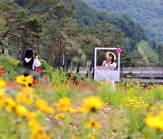 '괴산을 핫하게' 빨간 맛 페스티벌 24일 팡파르