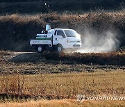 경남 창녕서 고병원성 AI 발생…105일만에 국내 발생