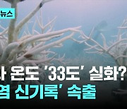 바다가 33도? '백색' 산호초...끓는 파키스탄 "수백명 열사병"