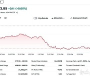 테슬라 2000만대 판매 목표 포기? 주가 3.5% 급락