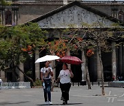 [포토] '폭염 사망자 속출' 양산 쓰고 걸어가는 멕시코 여성