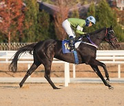 [경마] 1등급 1200미터 경주, '제14회 스포츠경향배' 개최