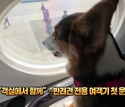 [잇슈 SNS] 화물칸 말고 객실서 함께…반려견 전용 항공사 첫 운항