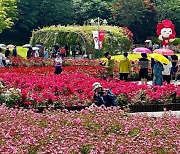 매년 5월 울산엔 장밋빛 가득…SK이노·울산시의 끈끈한 상생협력