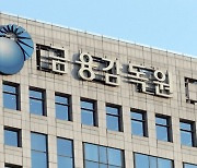 운용업계 사익추구 '만연'…금감원, 내부통제 강화 당부