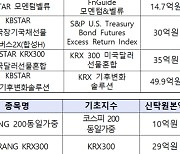 'KBSTAR 200IT' 등 소규모 ETF 16종목 상장폐지