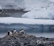 Chile Antarctica