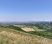 제주 바다 뒤덮은 농무