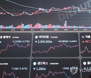 美 이더리움 ETF 승인에 증권가 "차기 투자처로 유망…정책변화 신호"