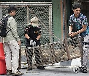 Thailand Monkeys