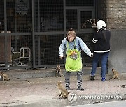 Thailand Monkeys