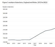 영국 임신중지법 통과 이후 가장 높은 수치 기록…"재정적 요인 커"[통신One]