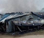 용인시 처인구 돼지 농장 화재...돼지 2천여 마리 죽어