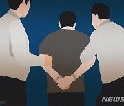 반달새 범죄 10건…초고속 무법자, 1년만에 또 교도소로