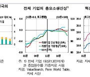 한은 "혁신기업 생산성 정체…`똑똑한 이단아` 키워야"