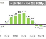 `대장주 아파트` 가격 3개월째 상승