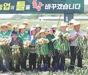 80가구에 배당금 10억…농업 틀 바꾼 '1석 3조' 공동영농, 뭐길래