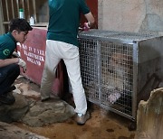 방치 논란 대구 한 실내동물원 동물들 새 보금자리로