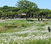 “첫경험 하면 무조건 죽는다”···괴이한 ‘교미’하는 이 동물의 신비 [생색(生色)]