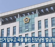 재선거 앞두고 곡물 돌린 진보당원 벌금형