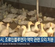 진주시, 조류인플루엔자 역학 관련 오리 처분