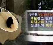 푸바오, ‘접객 동원’·‘목줄’ 의혹…‘푸바오 구하기’ 운동 까지