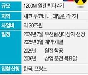 대형 원전도 일 낼까…'30조 잭팟' 佛과 맞대결