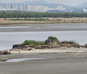 "김포 한강에도 '독도' 있다"...김포시 '독도(獨島)' 공식 명칭 지정