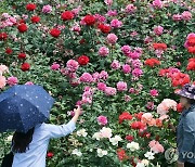 [내일날씨] 대체로 맑음…강풍에 아침은 쌀쌀 낮엔 더워져