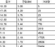 [표] 코스피 지수선물·옵션 시세표(27일)-3