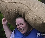 Britain Woolsack Races