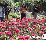 [오늘의 날씨]대전·충남(28일, 화)…아침 기온 평년보다 낮아 쌀쌀