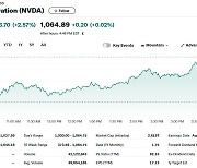엔비디아 시총 테슬라의 5배…질주 어디까지 지속되나