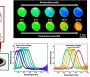 포스텍, 자유자재로 컬러 변화 조절하는 광소자 기술 개발
