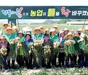 농가 80곳에 배당금 10억…‘공동영농’ 시골 살릴 혁신 되나