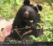 지리산 등산로에 곰 출현…“응시하며 뒷걸음질”