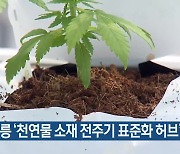 [여기는 강릉] 강릉 ‘천연물 소재 전주기 표준화 허브’ 착수 외