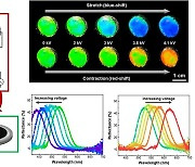 “카멜레온처럼 색깔 바꾼다” 포스텍, 컬러 변화 ‘광소자’ 개발