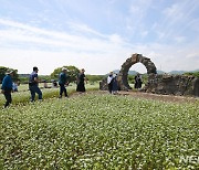 제주, 대체로 맑고 육해상 강풍…낮 21~25도