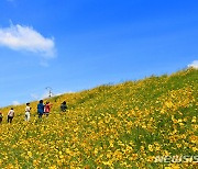 충남권 아침은 '쌀쌀' 낮에는 '포근'