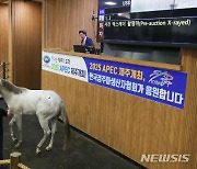 최고의 경주마를 찾아서 [뉴시스Pic]