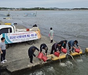 서천군 인근 연안에 꽃게 종자 44만 마리 방류