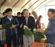 강호동 농협중앙회장, 충남 아산 방울토마토·쪽파 농가 찾아 생육동향 점검