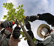 대한항공 숲 가지치기