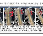 국내 연구진, 메탄 분해 세균 효과적으로 배양하는 신기술 개발