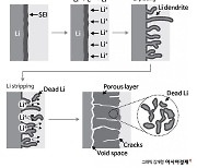 [보죠, 배터리]리튬메탈 음극재 가로막는 장벽…'덴드라이트'가 뭐길래