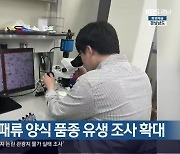 [간추린 경남] 경상남도, 패류 양식 품종 유생 조사 확대 외